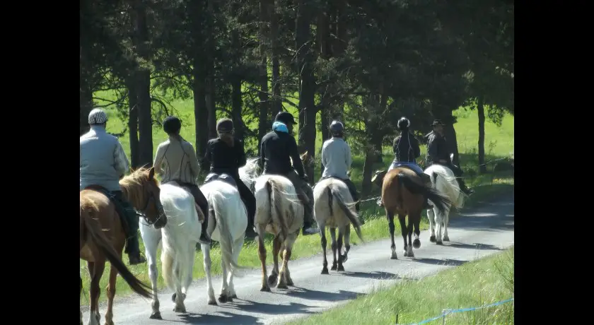 Randonnées à cheval en Auvergne